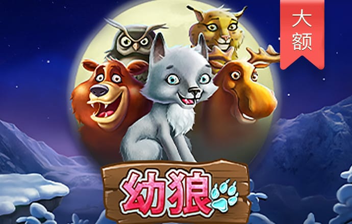 49图澳门精准免费大全